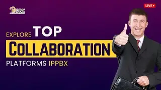 Which Collaboration Platform Is Best for Productivity and Teamwork?