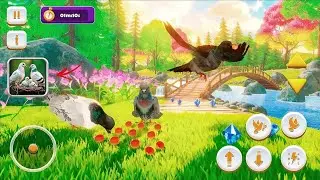 Pigeon Simulator Survive Full Gameplay Video...Leelwa Gaming 