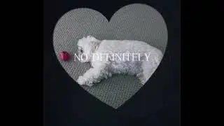 Doggy pt.. something idk #shorts #dog #puppy #cute #edit #capcut