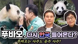 우리 푸공주, 다시 한국올 수 있다고?