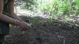 Gear test,real world or exercise?
