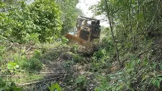 The Excellence of the D6R XL Bulldozer in Overcoming Mountainous Terrain Obstacles