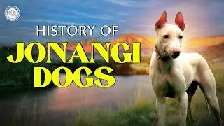 History of Jonangi Dogs | Indian Breed | Alangu Dog farm
