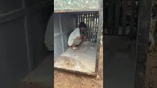 LEOPARD का आतंक खत्म करने वाला पिंजरा 🐆🚨 #indianfarmer #shorts
