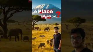 Speciality about this Place 😮| Amboseli wilderness | Varanasi glimpse