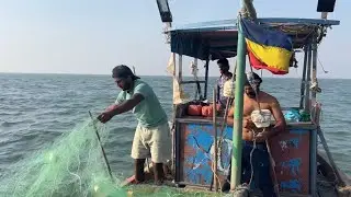 Pala fish catching from net deep sea #Aamchi Mumbai fishing 