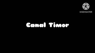 Canal Timor:Ident:1995-2000