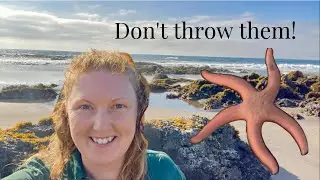 How to rescue a starfish