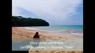 Interview with Donald Wilkins