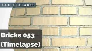 Bricks 053 - Photoscan processing timelapse