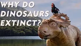 🐗 How Did Dinosaurs Become Extinct | When Did Dinosaurs Go Extinct | Latest Video 2016