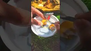 Can egg🥚 Save my snail🐌 ? #ytshorts #fishing #aquarium #aquariumfish  #shorts #fish