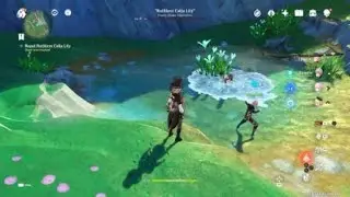 Tricky Bulle Fruit vs. Ruthless Calla Lily (NPC vs. NPC) (Genshin Impact)