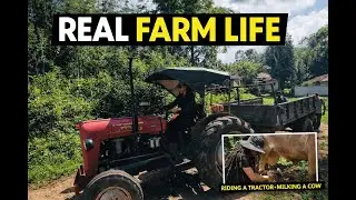 Riding a Tractor & Real Farm Life in Chikmagalur | Banana Farming & Cow Milking - Mythri Mosaic