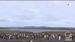 Sans Fronti&egrave;res : Brexit, la peur des &icirc;les Malouines
