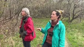 Entretiens en nature #2 Amelanchier et l'habitat | Nature Conversations #2 Serviceberry and Habitat