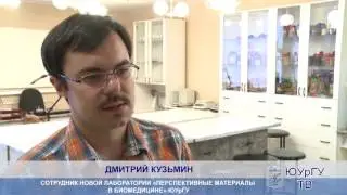 Публикации учёных ЮУрГУ в Nano Letters и Scientific Reports