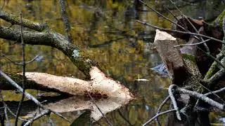 Kayaking the Wapsipinicon River in Autumn - &copy; Kip Ladage