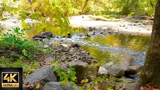 Healing Nature Ambience   Creek Water & Birdsong for Relaxation, Meditation & Deep Sleep
