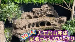 【特大テラリウム庭池作り】⑤人工岩山完成！滝・鍾乳洞付き