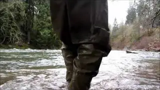 My Trophy Steelhead
