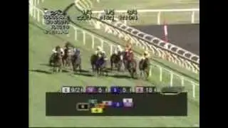 2013 Summer Stakes - My Conquestadory
