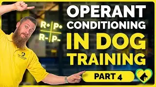 Operant Conditioning in Dog Training | Four Quadrants of Dog Training Simplified