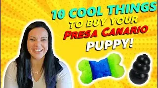 10 Cool Things To Buy Your Presa Canario Puppy