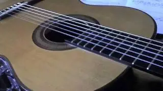 Ecos de Ahiri-Lalita (improviso) - Fernando Mattos, viol&atilde;o