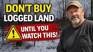 &ldquo;How to Start a Farm from Scratch:  Buying Land that was Lumbered and Needs Cleared (Episode 8)&rdquo;