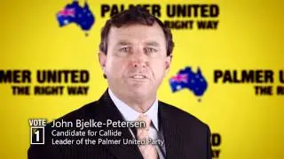 Palmer United Qld - We have got to bring electricity prices down -John Bjelke-Petersen