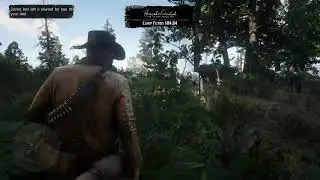 Duplicate Camp Horses Outside Horseshoe Overlook RDR2