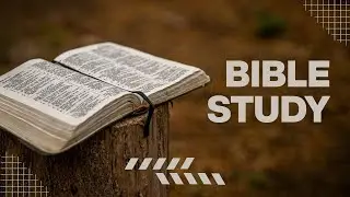 Your Divine Authority Over Fear - Bible Study For Today