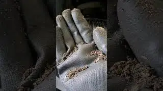 TIP!.Bij het wassen van de auto. #albertikupper #shorts #short #tipsandtricks #wassen #auto #nissan