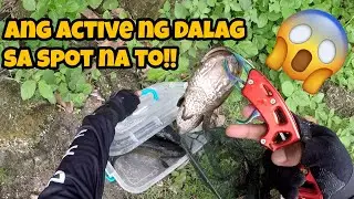 DALAG/SNAKEHEAD SA TAAL LAKE ACTIVE NA NAMAN | SNAKE HEAD PHILIPPINES 2022 | TAAL LAKE ANGLER Eps. 3