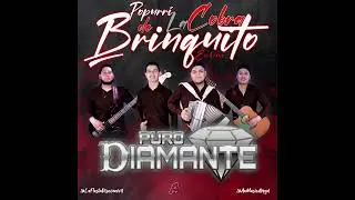 Popurrí De La Cobra Brinquito En Vivo • Puro Diamante ( 2023 ) • AA