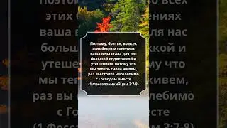 #1Фессалоникийцам 3:7-8 #Библия #СтихДня