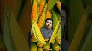 #corn #boy
