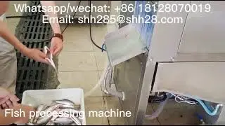 Automatic fish processing machine fish cleaning machine fish killing machine fish gutting machine