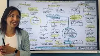 Kant (parte 7) critica della ragion pratica caratteri dell’etica formalismo, autonomia e rigorismo
