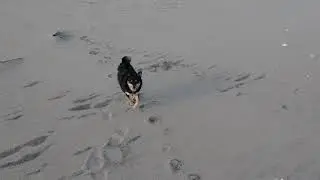 1.6.19 North Beach Sandy Hook
