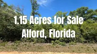 1.15 Acres Mobile Home Lot for Sale in Alford, Florida!