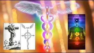 LA COLUMNA VERTEBRAL | LECTURA cap. III | Manly P. Hall | La anatomía oculta del hombre