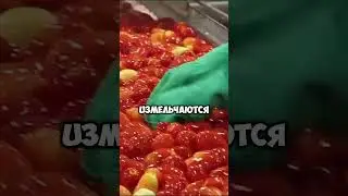 Как делают Кетчуп Хаинз Heinz #производство #завод #бизнес #кетчуп #томаты