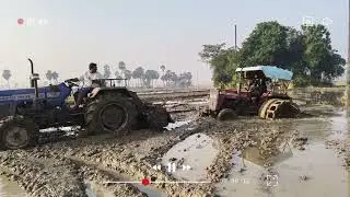 Power vs Mud: Tractor struggles to Get out!  Swaraj 744 4x4 power ❤&zwj;🔥❤&zwj;🔥❤&zwj;🔥