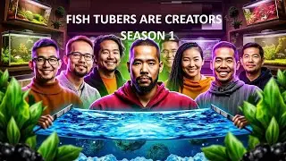 Que Aquatics || Fish keeping a male dominated hobby !