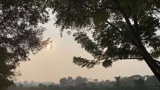 Nature with view.#multivlog00 #fypシ゚viral #birds #river #moon #tree 