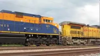 Animals - Train Music Video
