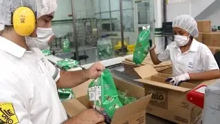 ¿Cómo se hace?: El Milo