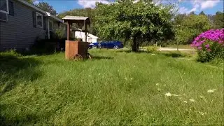 Overgrown Lawn Makeover (Satisfying)